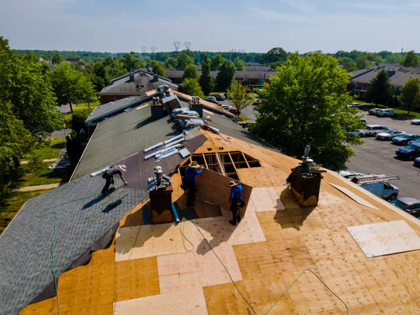 Best Flat Roof Repair Services  in Eyota, MN