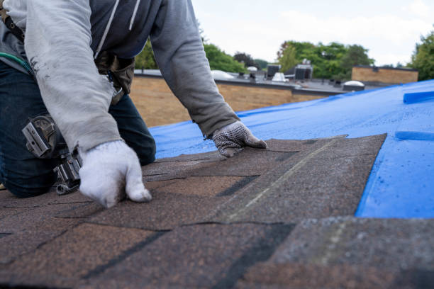 Best Roof Gutter Cleaning  in Eyota, MN